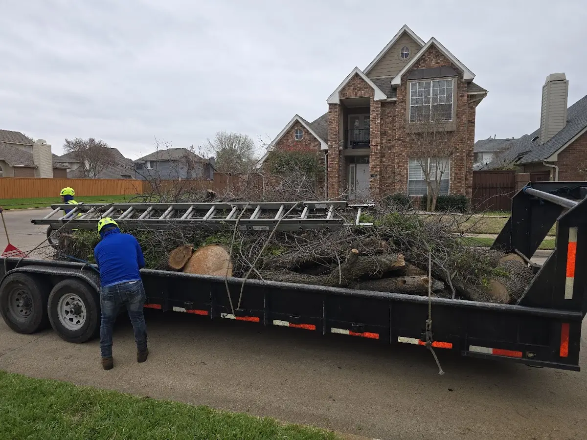 Expert Tree Fertilization with proper safety equipment in Joliet